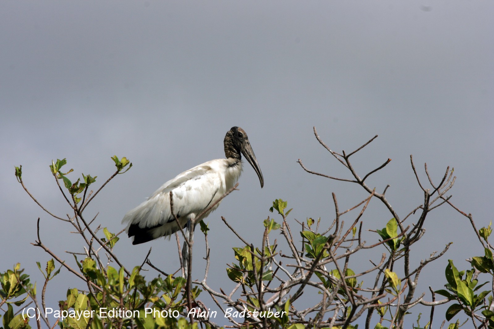 Images_Belize_2011_120