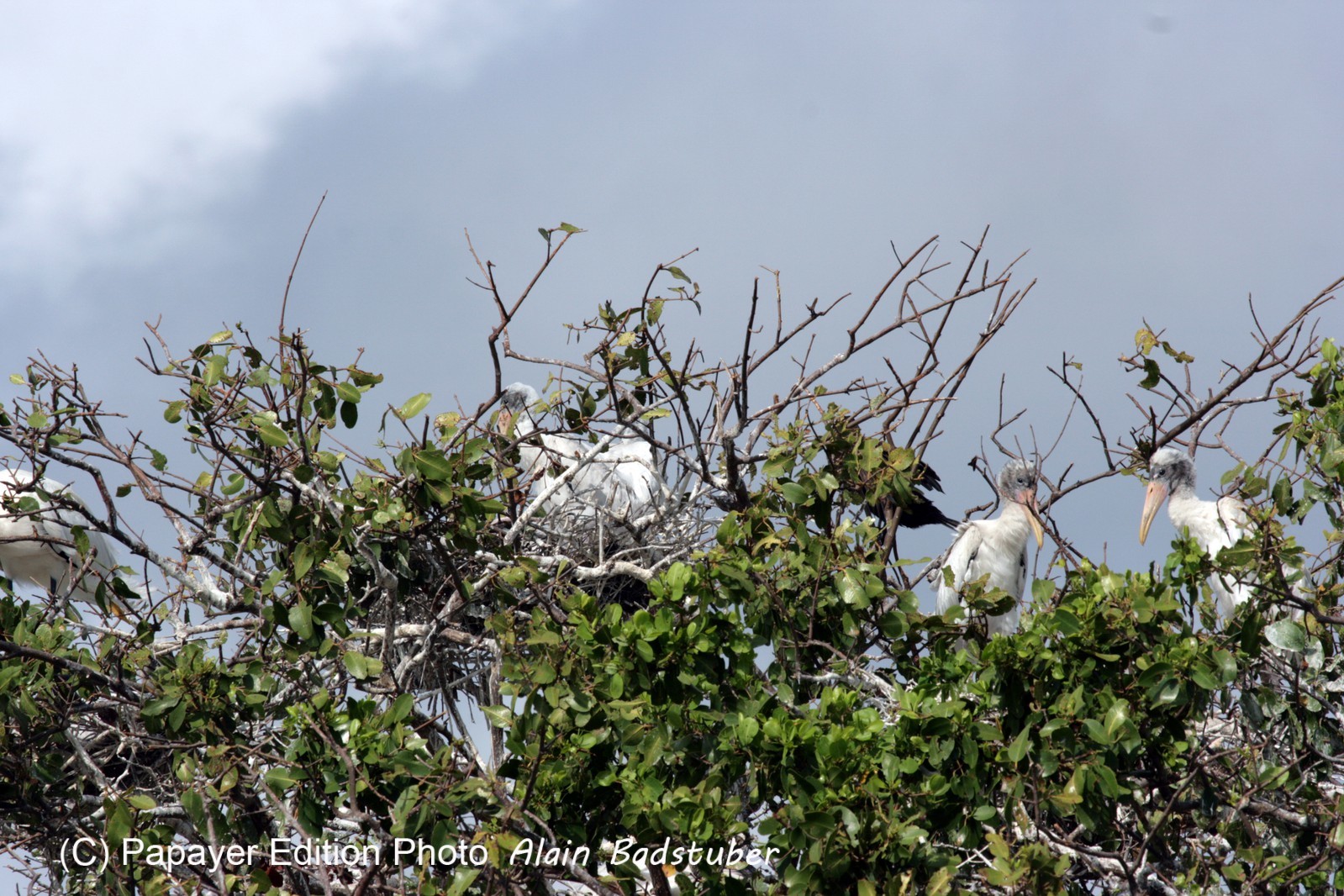 Images_Belize_2011_114