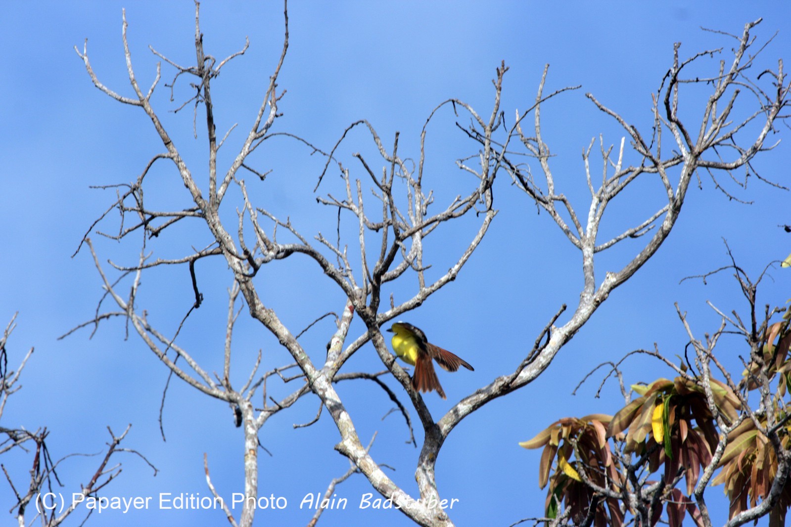 Images_Belize_2011_077