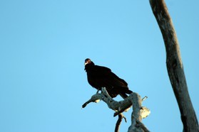 Images_Belize_2011_358