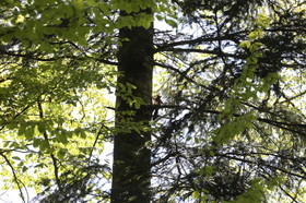 Ma balade du premier mai 2019