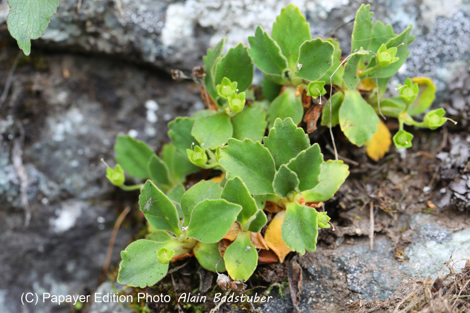 Encore une journée non favorable à la pratique de WingFoil