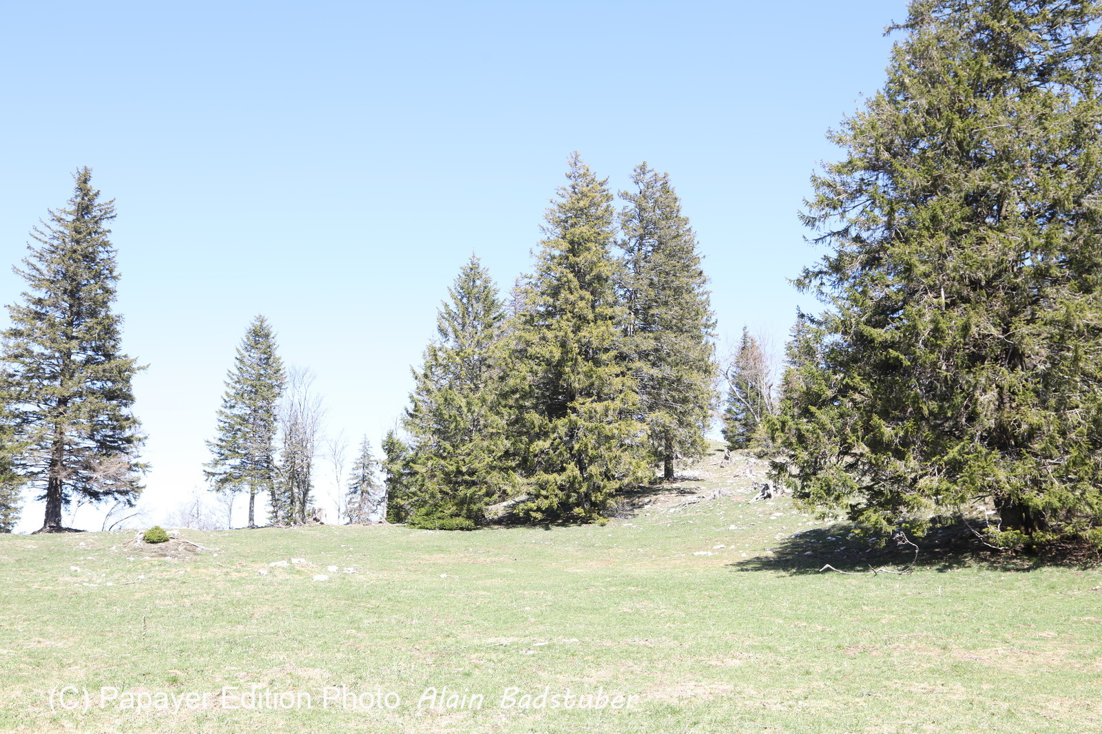 Ma balade du premier mai 2019 Ma balade du premier mai 2019