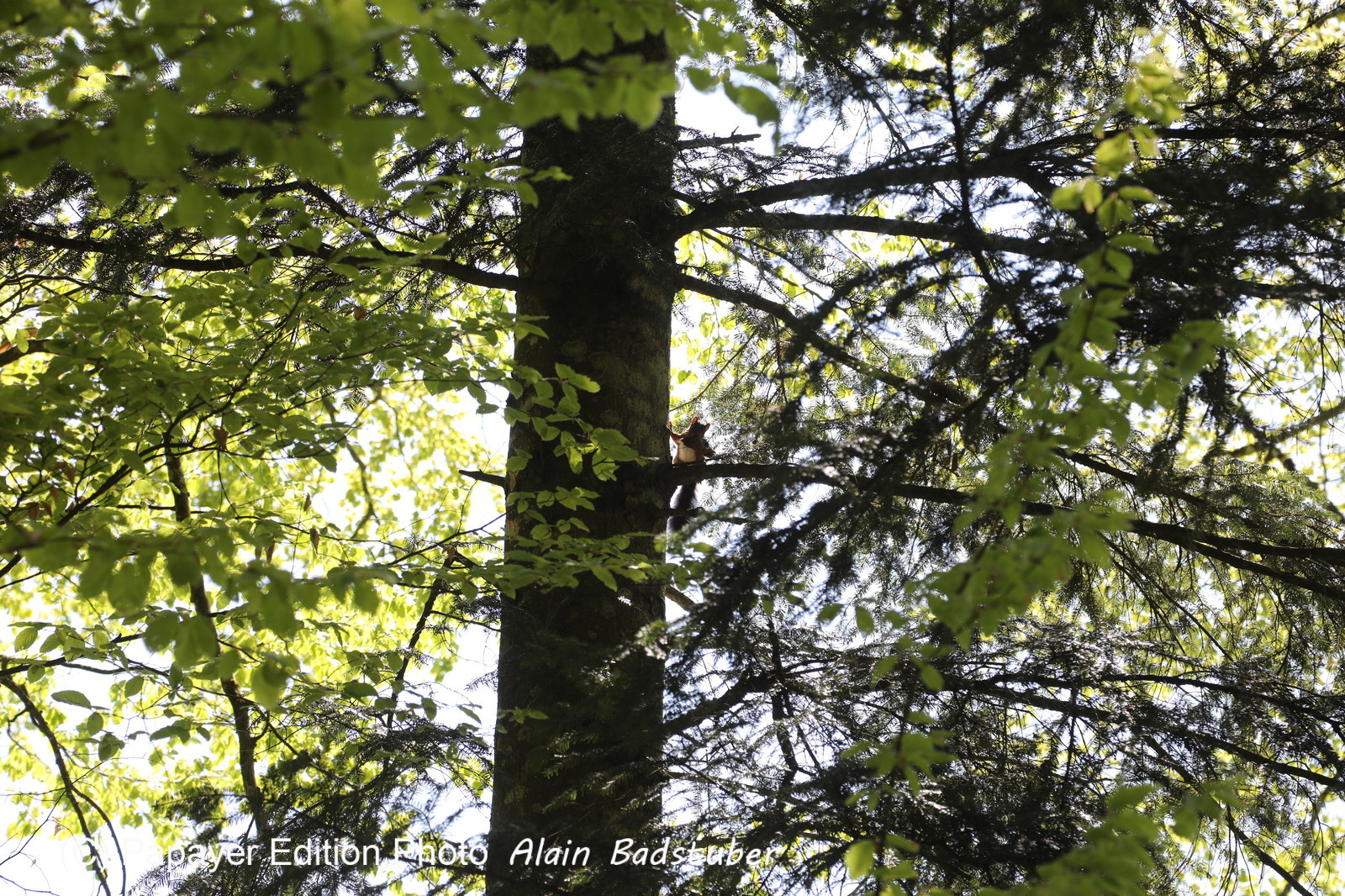 Ma balade du premier mai 2019 Ma balade du premier mai 2019
