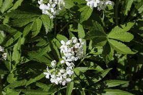 Ma balade du premier mai 2019