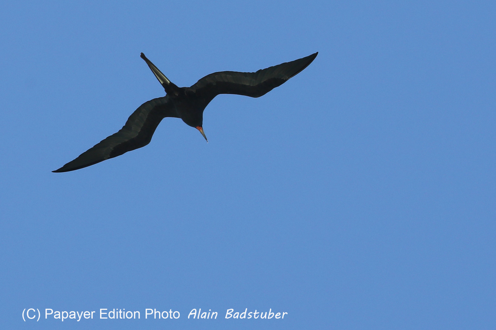 Deuxième séjour à Sarteneja, Bélize, Novembre - Décembre 2021