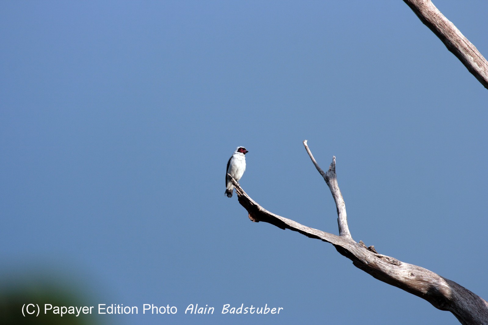 Images_Belize_2011_339