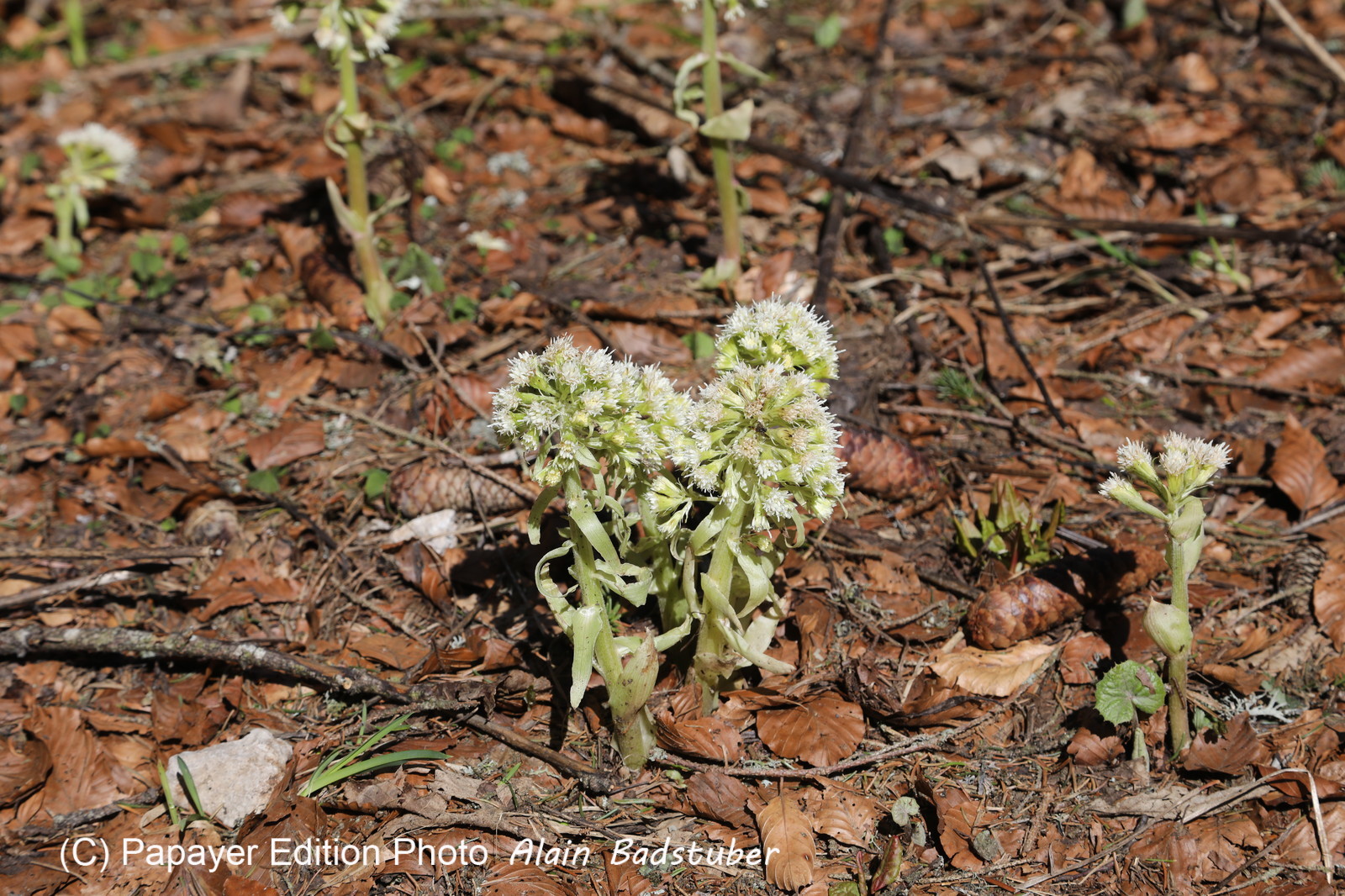 Ma balade du premier mai 2019