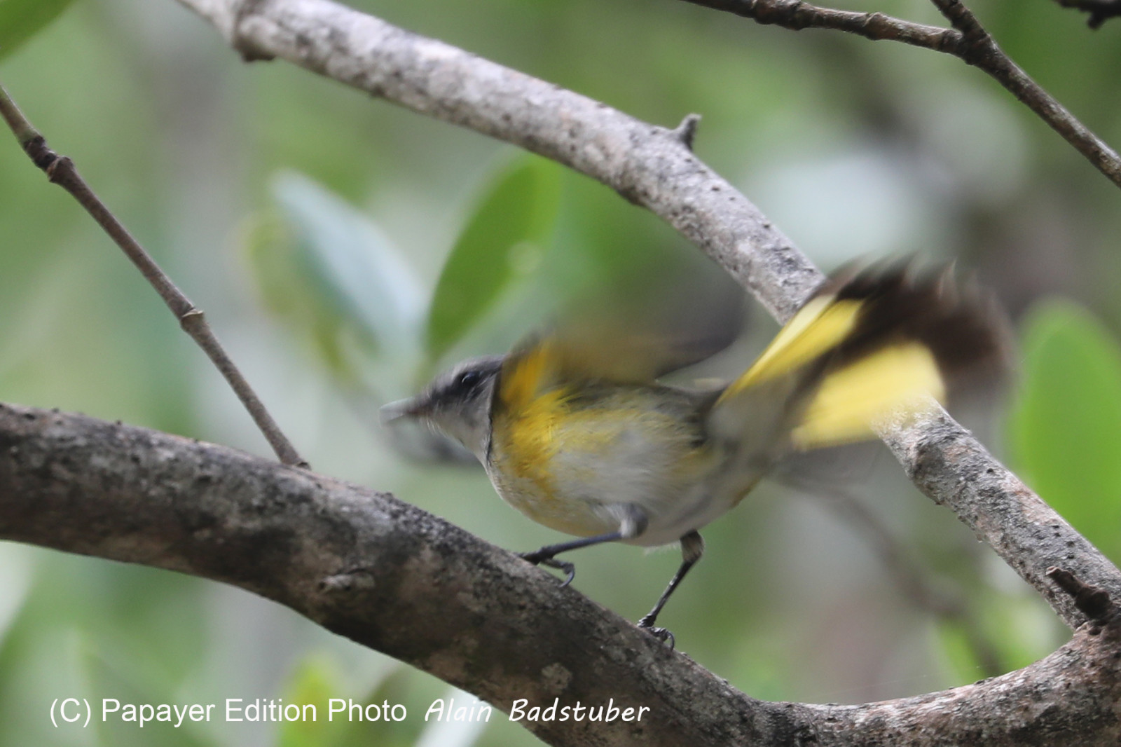 Deuxième séjour à Sarteneja, Bélize, Novembre - Décembre 2021