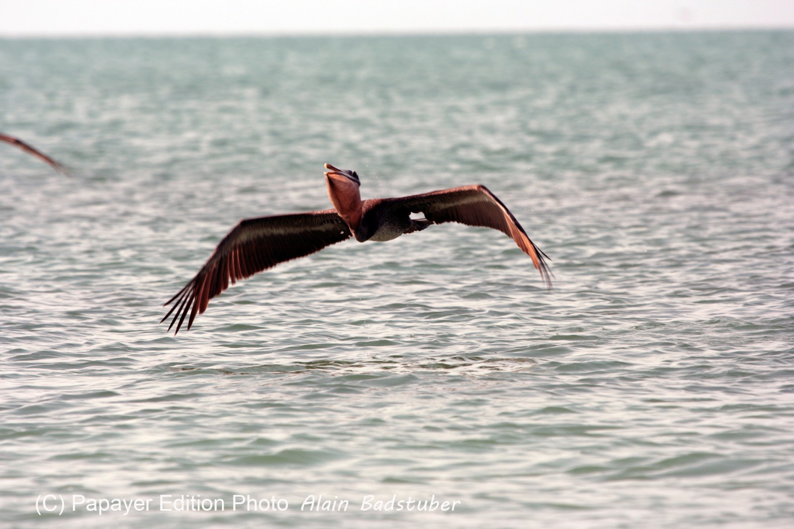 Images_Belize_2011_435