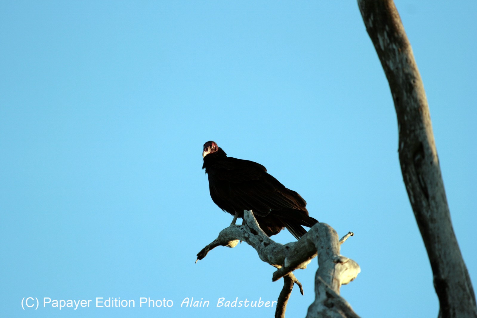 Images_Belize_2011_358