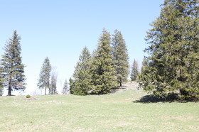 Ma balade du premier mai 2019