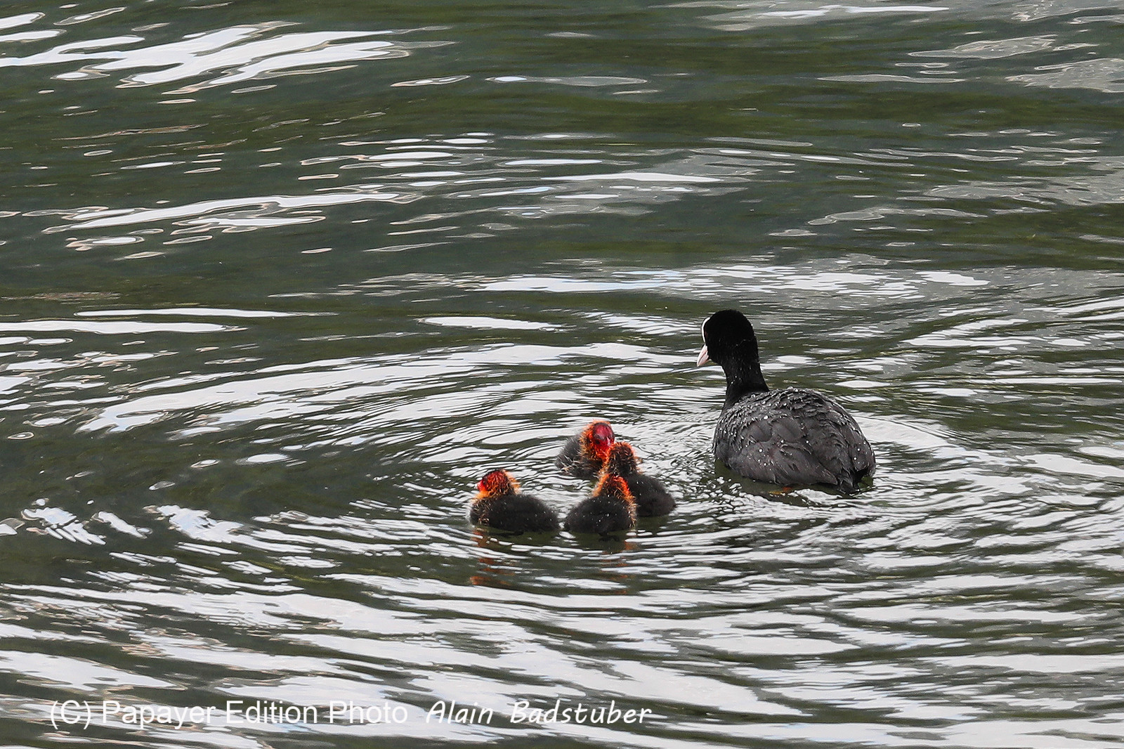 Encore une journée non favorable à la pratique de WingFoil