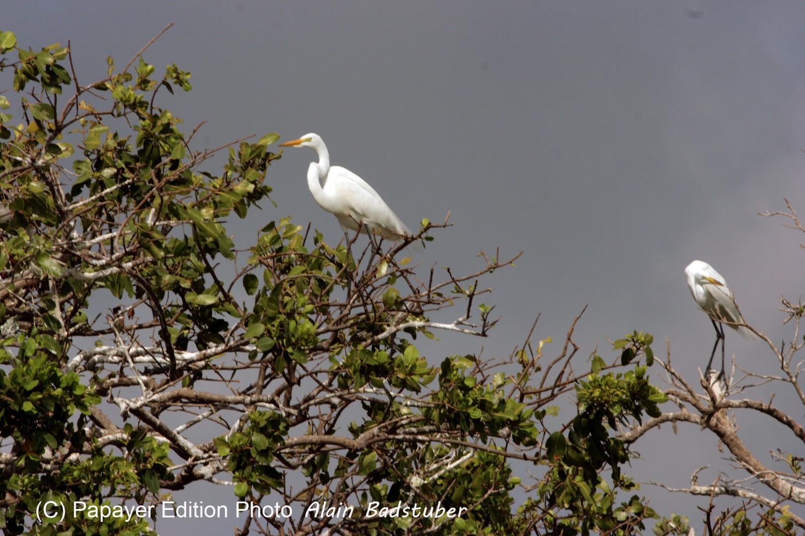 Images_Belize_2011_118