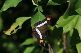 IMG_9949.JPG