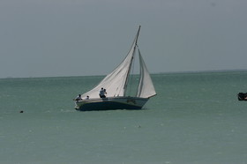 IMG_0902.JPG