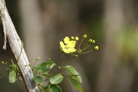 _MG_0031.JPG