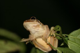 IMG_0589.JPG