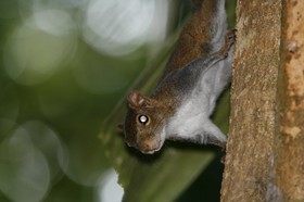 _MG_4325.JPG