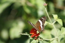 _MG_4142.JPG