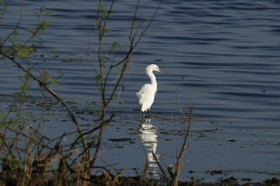 _MG_5132.JPG