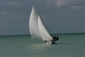 IMG_1041.JPG