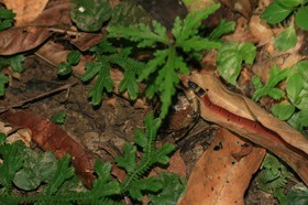 IMG_9735.JPG