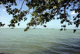 Ile aux Orchidées
