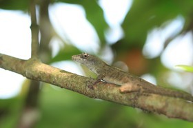 IMG_9605.JPG