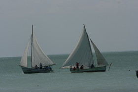 IMG_1001.JPG