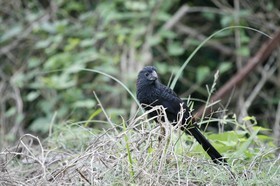 _MG_5058.JPG