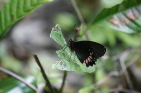 _MG_4174.JPG