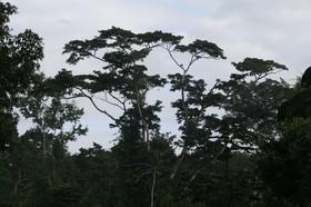 _MG_4100.JPG