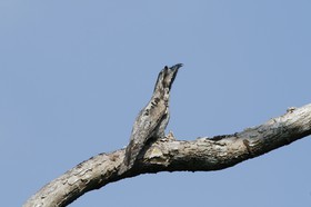 _MG_7665.JPG