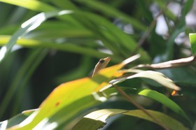 IMG_9564.JPG