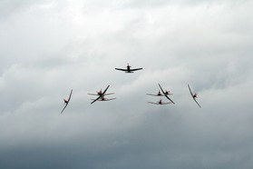 IMG_2248