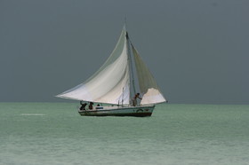 IMG_0834.JPG