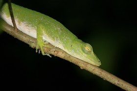 IMG_9779.JPG