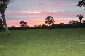 Portal_Paraiso_2_025.jpg