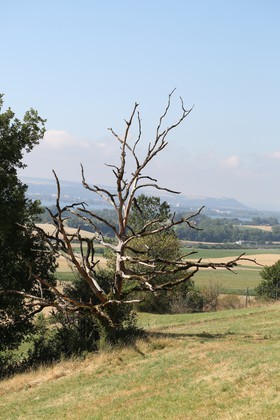Chassagne_054.JPG