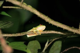 IMG_9680.JPG