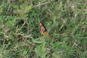 IMG_9840.JPG