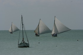 IMG_0947.JPG