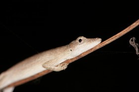 IMG_8043.JPG