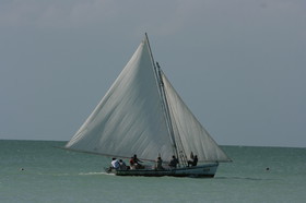 IMG_1024.JPG