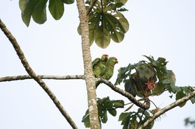 _MG_7565.JPG