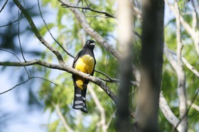 _MG_7617.JPG