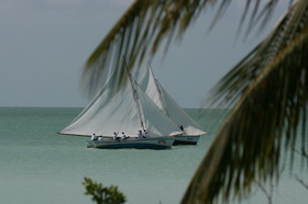 IMG_0916.JPG