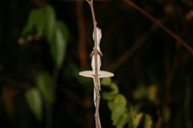 IMG_0680.JPG