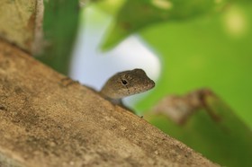 IMG_9572.JPG
